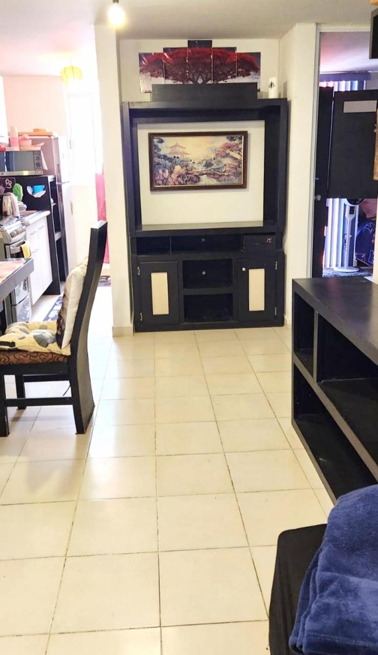Onix Axolotl Apartment Mexico City